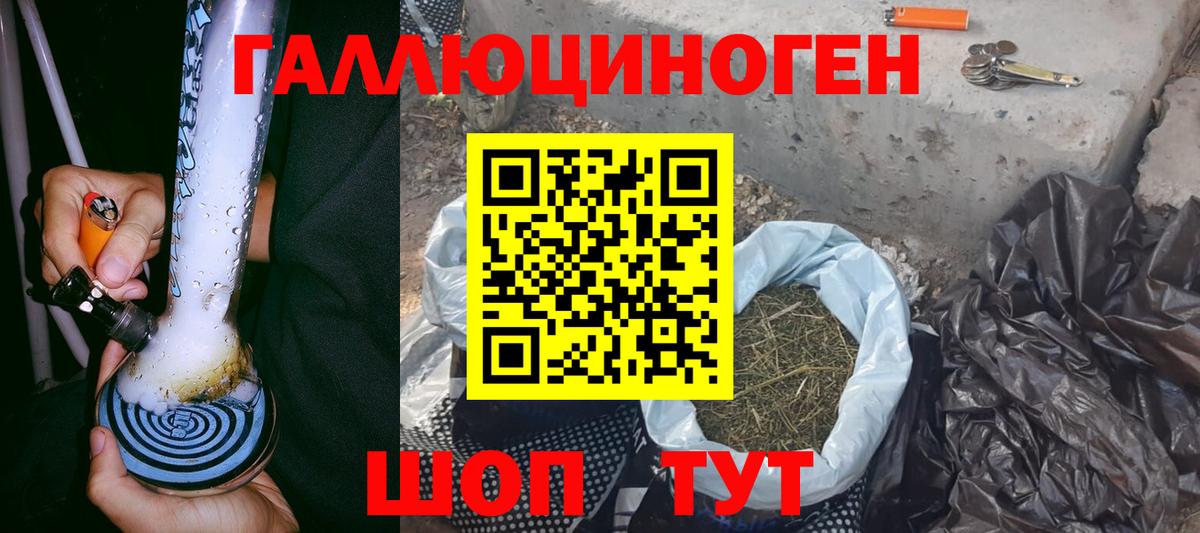 Галлюциногенные грибы GOLDEN TEACHER  Вход с VPN  Ефремов 